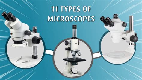 Different Kinds of Microscopes .